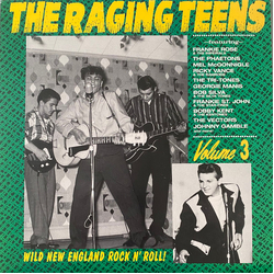 Various The Raging Teens Volume 3 Vinyl LP USED