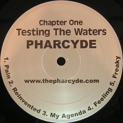 The Pharcyde Testing The Waters Vinyl 12" USED