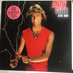 Andy Gibb After Dark Vinyl LP USED