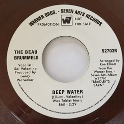 The Beau Brummels Deep Water Vinyl 7" USED