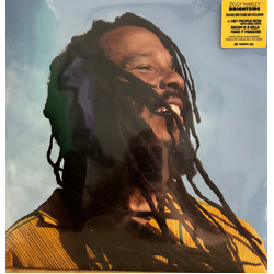 Ziggy Marley Brightside Vinyl LP USED