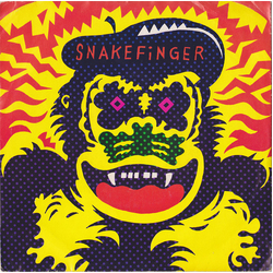 Snakefinger What Wilbur? / Kill The Great Raven Vinyl 7" USED