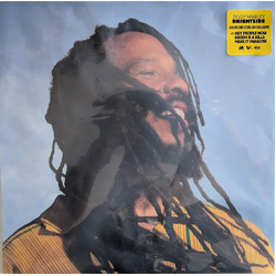 Ziggy Marley Brightside Vinyl LP USED