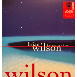 Brian Wilson Imagination Vinyl LP USED