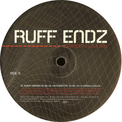 Ruff Endz Someone To Love You Vinyl 12" USED