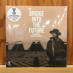 DJ Kawasaki (2) Bridge Into The Future (DJ Kawasaki Recreated Tracks) Vinyl LP USED