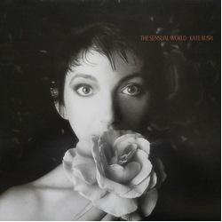 Kate Bush The Sensual World Vinyl LP USED