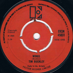 Tim Buckley Wings / I Can't See You Vinyl 7" USED
