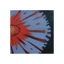 John Wilkes Booze The Heliocentric Views Of The John Wilkes Booze Pts. 1 & 2 Vinyl LP USED