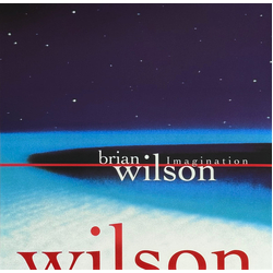 Brian Wilson Imagination Vinyl LP USED
