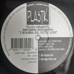 Tehs Groove I Wanna Be With You Vinyl 12" USED
