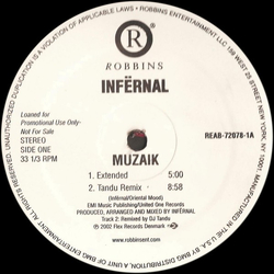 Infernal Muzaik Vinyl 12" USED