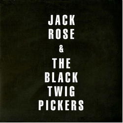 Jack Rose / Black Twig Pickers Jack Rose & The Black Twig Pickers Vinyl LP USED