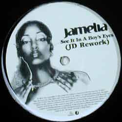 Jamelia See It In A Boy's Eyes USED VINYL 12INCH PROMO