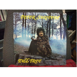 Peter Sarstedt Tall Tree Vinyl LP USED