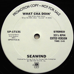 Seawind What Cha Doin' Vinyl 12" USED