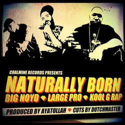 Big Noyd / Large Professor / Kool G Rap Naturally Born Vinyl 7" USED