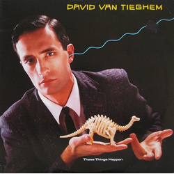 David Van Tieghem These Things Happen Vinyl LP USED