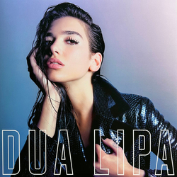 Dua Lipa Dua Lipa Vinyl LP USED