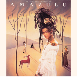 Amazulu Things The Lonely Do Vinyl 12" USED
