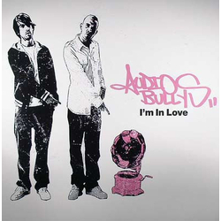 Audio Bullys I'm In Love Vinyl 12" USED