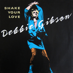 Debbie Gibson Shake Your Love Vinyl 12" USED