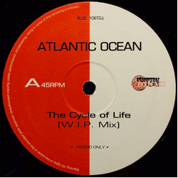 Atlantic Ocean The Cycle Of Life Vinyl 12" USED