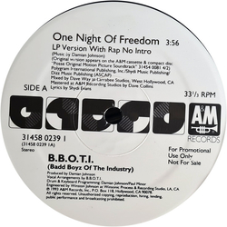 Badd Boys Of The Industry One Night Of Freedom Vinyl 12" USED