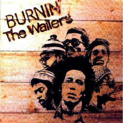 The Wailers Burnin' Vinyl LP USED