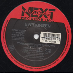 Evergreen (32) Tomorrow Never Knows Vinyl 12" USED