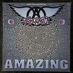 Aerosmith Amazing Vinyl 12" USED