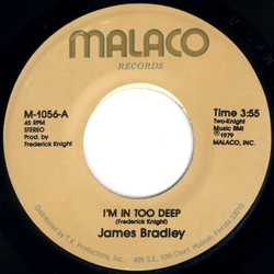 James Bradley (2) I'm In Too Deep Vinyl 7" USED