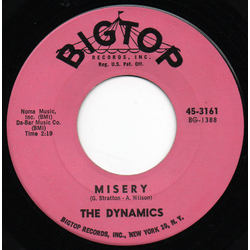 The Dynamics Misery / I'm The Man Vinyl 7" USED