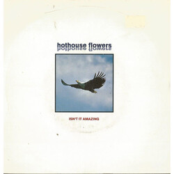 Hothouse Flowers Isn't It Amazing USED VINYL 7INCH SINGLE