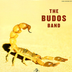 The Budos Band The Budos Band II Vinyl LP USED