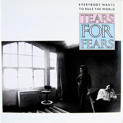 Tears For Fears Everybody Wants To Rule The World Vinyl 12" USED