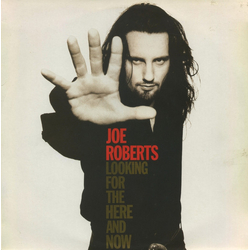 Joe Roberts Looking For The Here And Now Vinyl LP USED