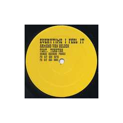 Armand Van Helden / Tekitha Everytime I Feel It Vinyl 12" USED