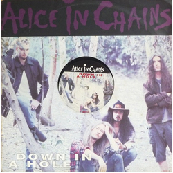 Alice In Chains Down In A Hole Vinyl 12" USED