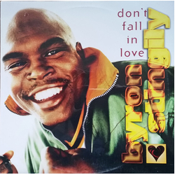 Byron Stingily Don't Fall In Love Vinyl 12" USED