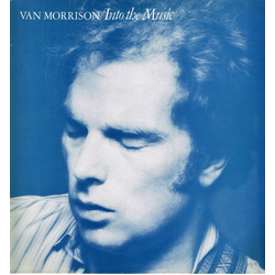 Van Morrison Into The Music Vinyl LP USED
