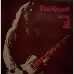Paul Kossoff Leaves  In The Wind Vinyl LP USED