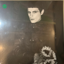 Cold Cave Cherish The Light Years Vinyl LP USED