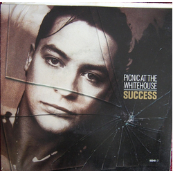 Picnic At The Whitehouse Success Vinyl 7" USED