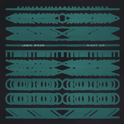 Jamie Woon Night Air Vinyl 12" USED