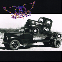 Aerosmith Pump Vinyl LP USED