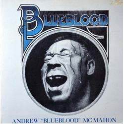 Andrew McMahon (2) Blueblood Vinyl LP USED