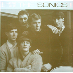 The Sonics Here Are The Sonics!!! Vinyl LP USED