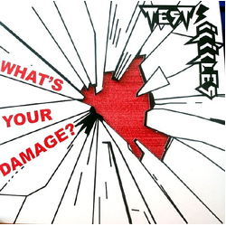 Test Icicles What's Your Damage? Vinyl 7" USED