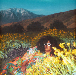 Brittany Howard What Now Vinyl LP USED